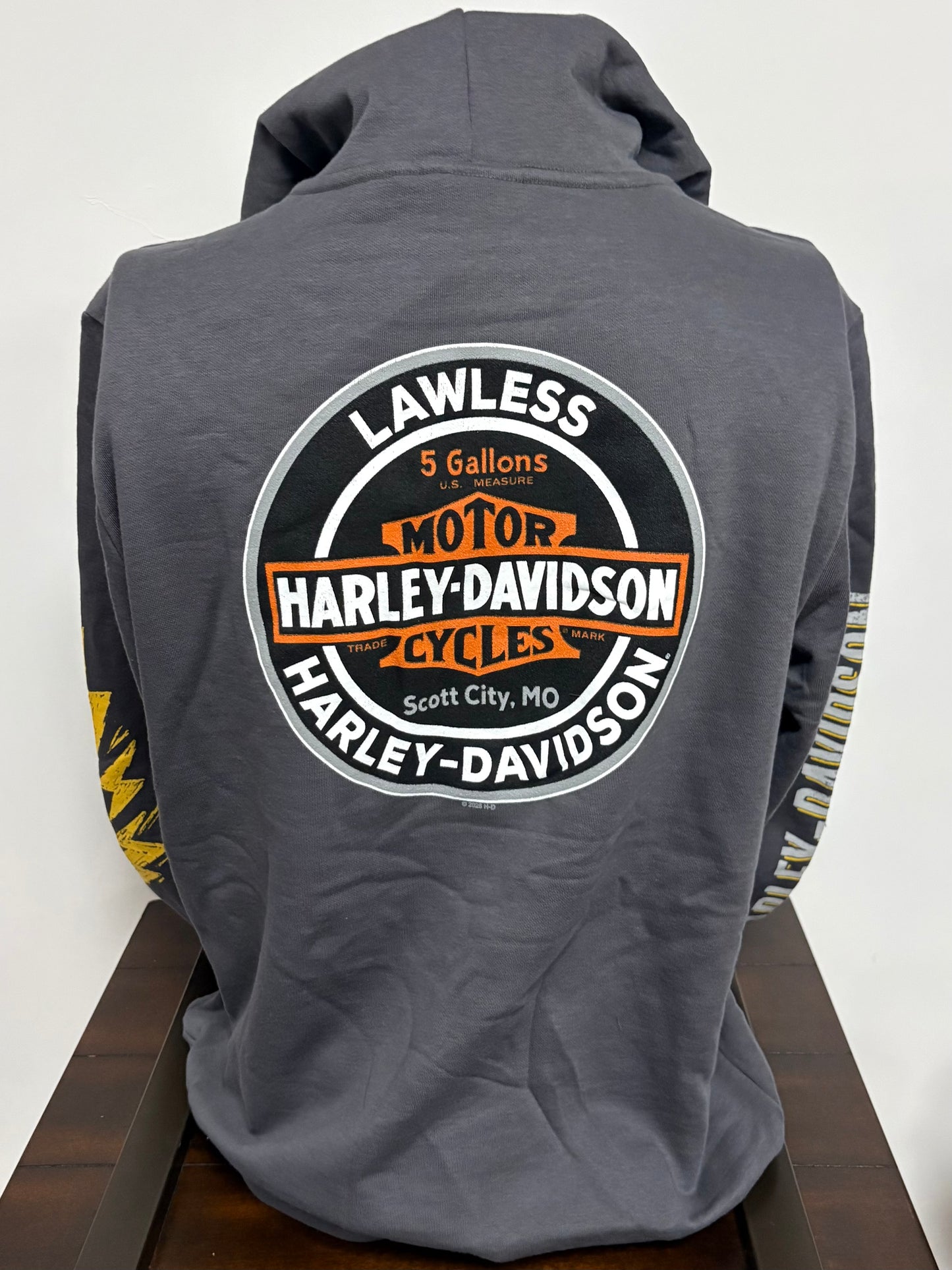 Skull Helmet Men's HD Hoodie