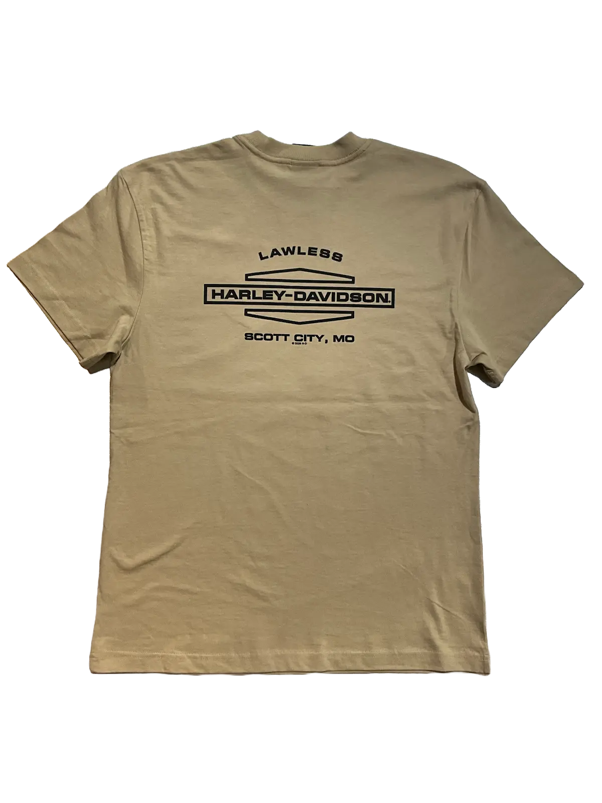 "Hold On" Men's Tee