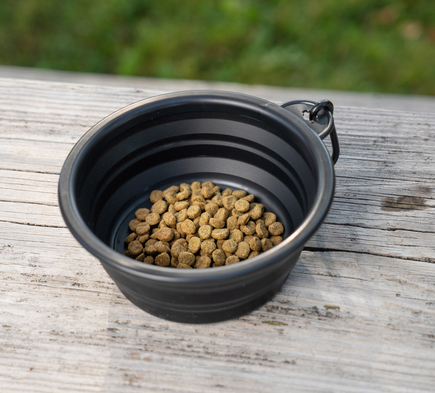 Collapsible Pet Bowl