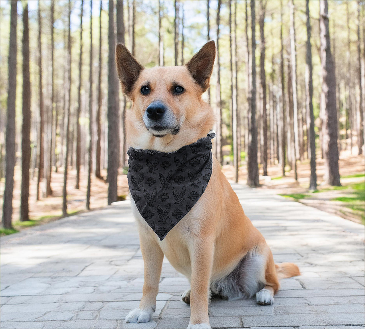 Repeat B&S Eagle Pet Bandana