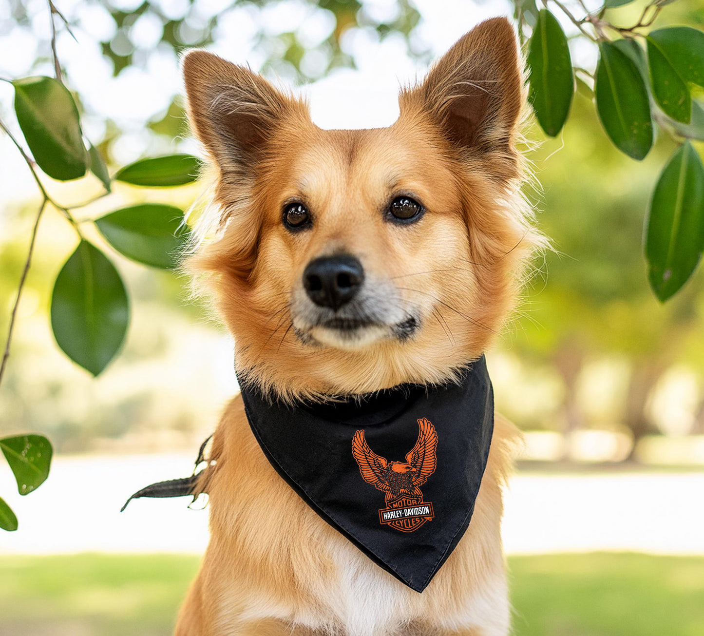 B&S Eagle Pet Bandana