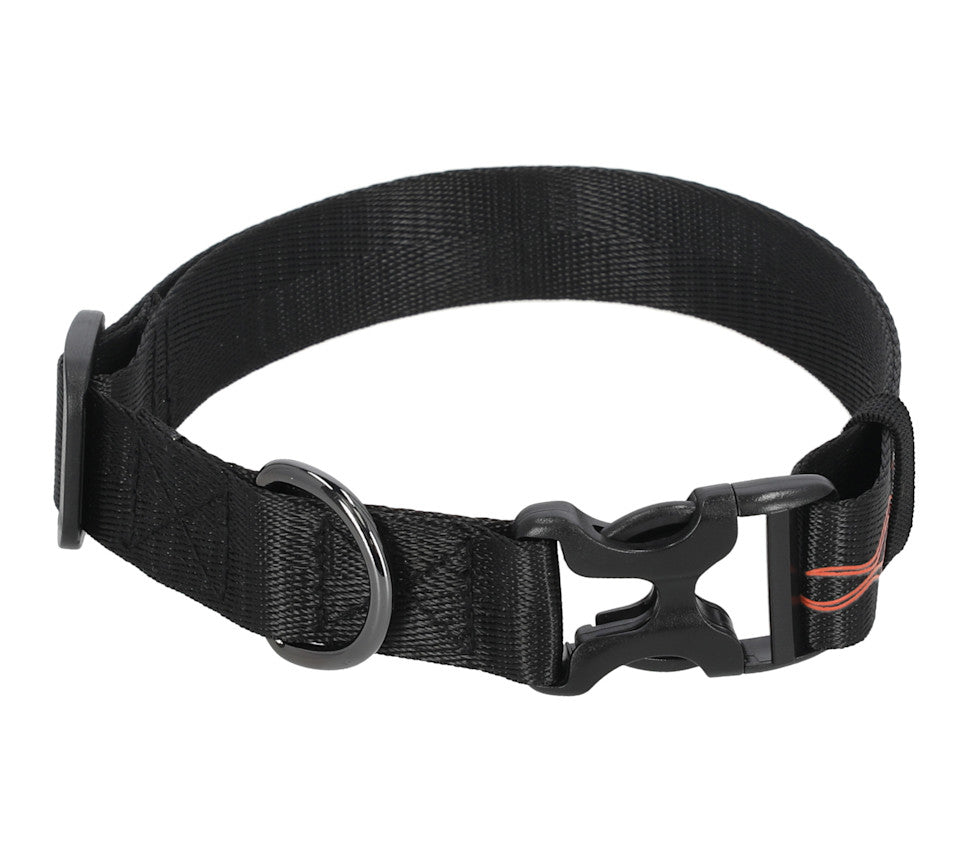 Harley-Davidson Flame Dog Collar