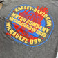 "Send Away" H-D Men's Short Sleeve Tee
