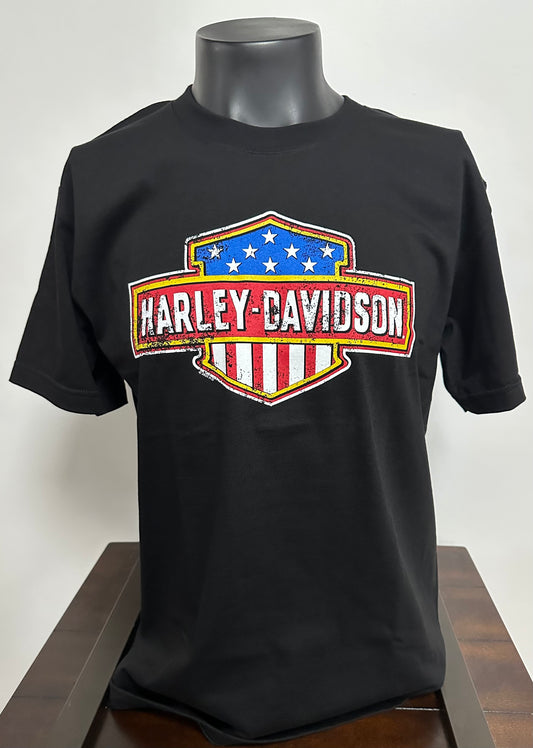 Flag Long Logo Tshirt