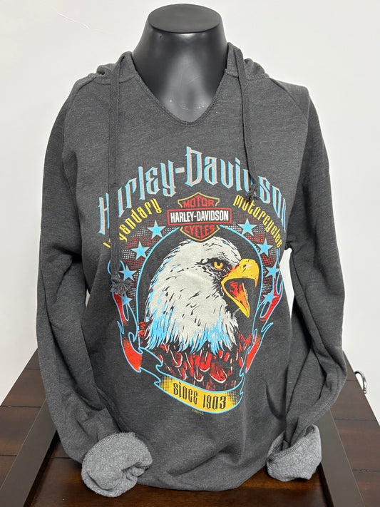 Brightness PO Hoodie