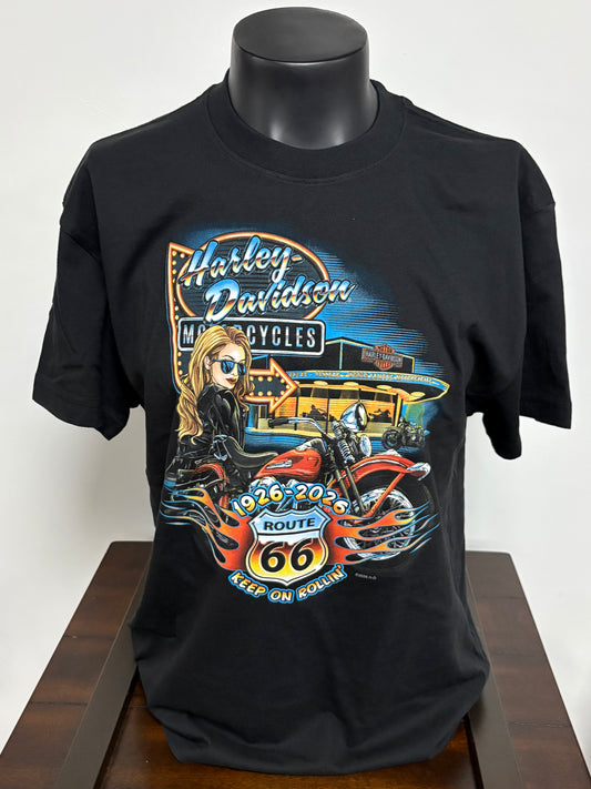 HD 66 Ride Men's Tee