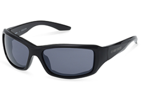 Sequoia Fam Glasses