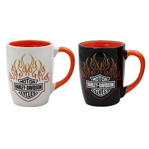 B&S Flames Color Change Mug Set